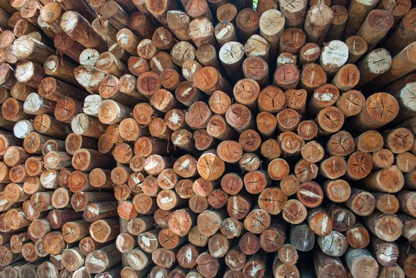 Köy inşaatı için odun parçaları. Kütükler, kütükler, tahta direkler.