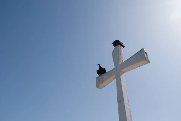 Pájaros Negros Posados Una Cruz Buitres Mar — Foto de Stock