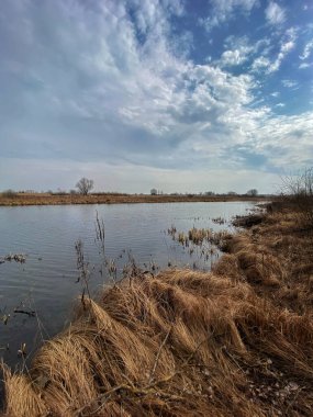 Arka planda nehir ve göl olan güzel bir manzara.