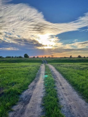 beautiful landscape of a field with cloudy sky.ukraine