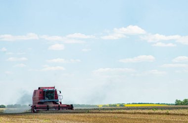 harvester working on the field in a sunny summer day