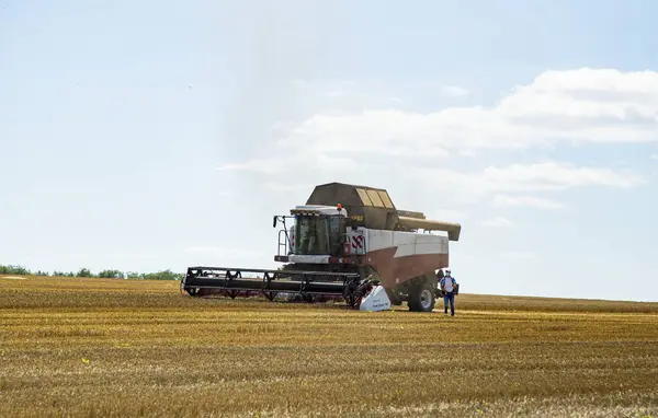 Kombinovat Kombajn Pracující Pšeničném Poli — Stock fotografie