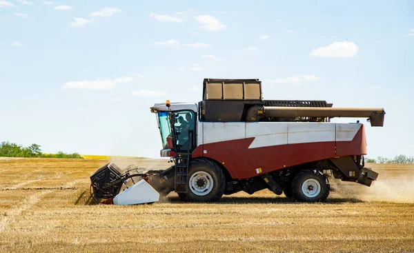 Combine Harvester Working Wheat Field — Stock Photo, Image