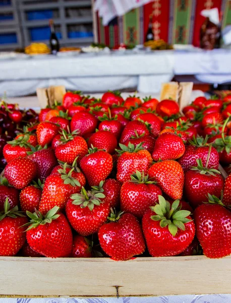 Ripe Juicy Sweet Strawberries Tree Just Time Harvest — Zdjęcie stockowe