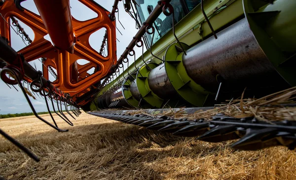 Harvester Combine Collects Wheat Wheat Field — Foto de Stock
