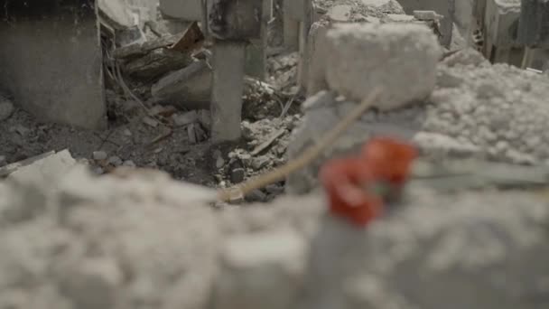 Flowers Lie Ruins Destroyed Building Honor Dead Civilians — 图库视频影像