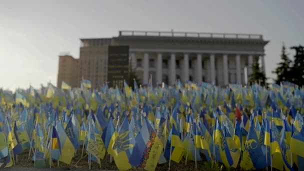 Many Flags Ukraine Were Installed Main Street Capital Honor Fallen — ストック動画