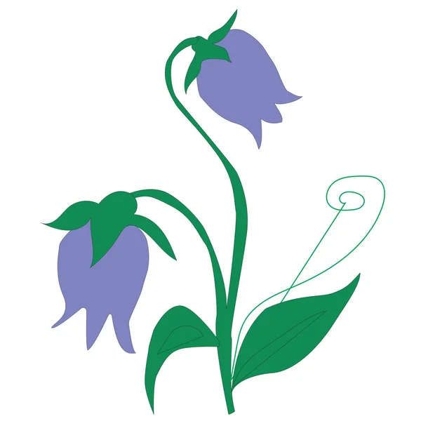 Fleurs Bluebell Bleu Vecteur Isolées Sur Fond Blanc — Image vectorielle
