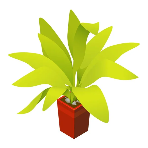 Home Plant Ficus Isometric Illustration — Stok Vektör