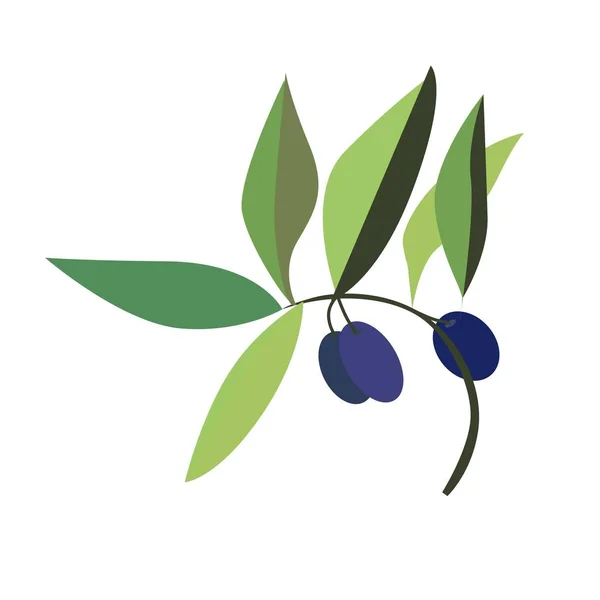 Huile Olive Symbole Branche — Image vectorielle