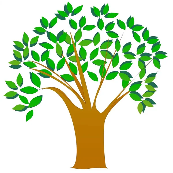 Baum Grüne Blätter Sommer Wald — Stockvektor