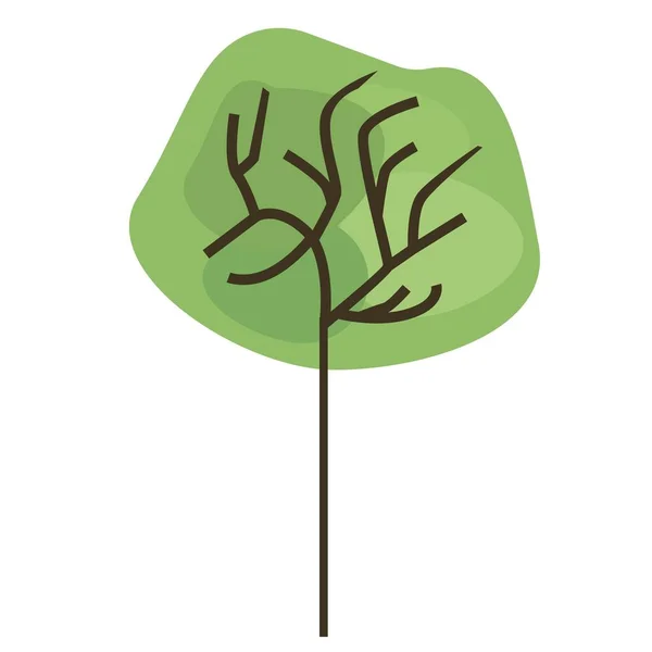 Baum Grüne Blätter Sommer Wald — Stockvektor