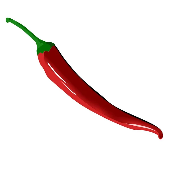 Sharp Red Pepper Gorky Chile — Stock Vector