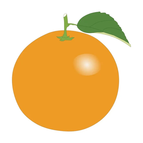 Naranja Cítricos Fruta Dulce Jugosa — Vector de stock