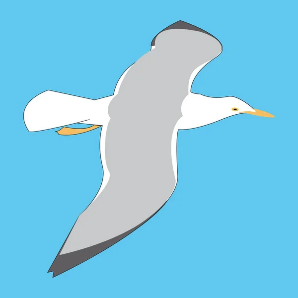 Oiseau Mouette Vol Dessus Mer — Image vectorielle