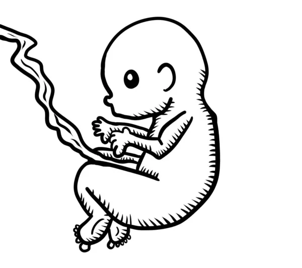 Digital Illustration Embryo Doodle — 图库照片