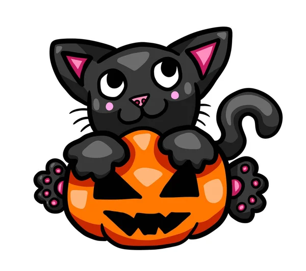 Digital Illustration Adorable Halloween Cat Hugging Pumpkin — Stockfoto