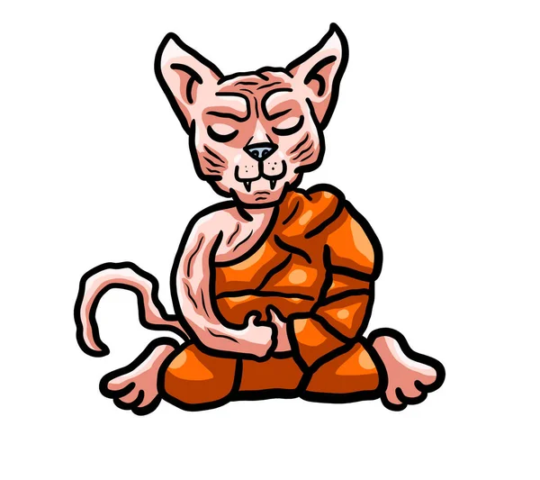 Digital Illustration Monk Sphynx Cat — Stockfoto