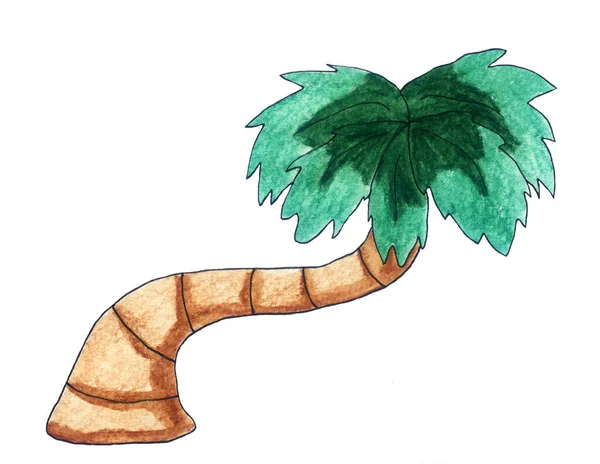 Handmade Illustration Palm Tree — Photo