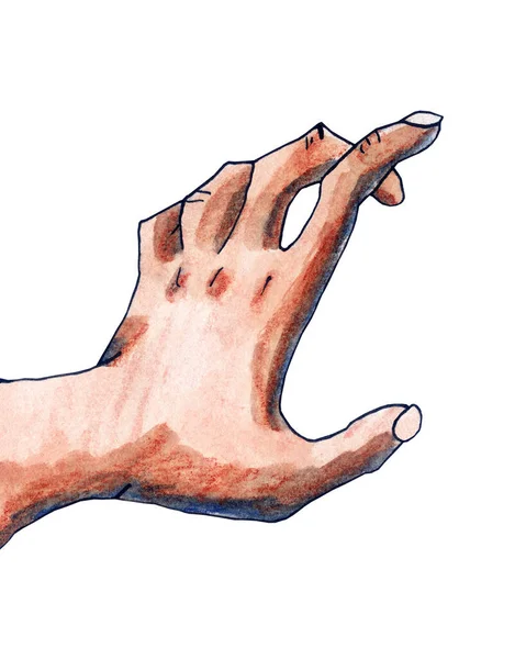 Handmade illustration of a hand