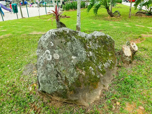 Μια Πέτρα Στη Μέση Του Πάρκου — Φωτογραφία Αρχείου