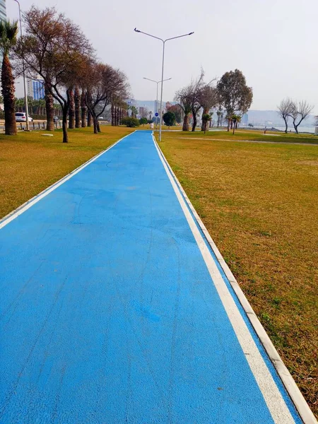 海滩上的蓝色自行车道 空荡荡的道路 — 图库照片