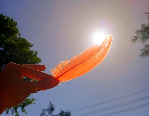 Woman Holding Orange Colored Feather Sun Amazing View — Fotografia de Stock