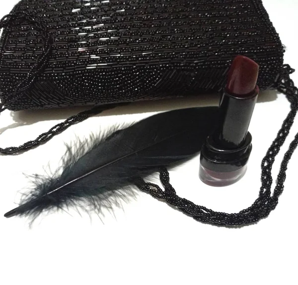 Lipstick Feather Bag Very Stylish Modern — 스톡 사진