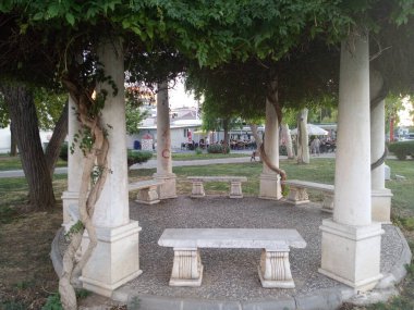 Kamu kamelyası. Güzel ağaçlar ve kamelya. Huzurlu bir manzara. Burası Bornova, İzmir..