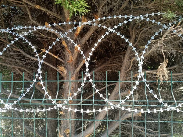 Flat wrap razor wire as security fence. Security system.