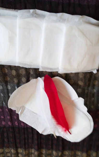 Feminine Pad Menstruation One Pad Open White Red Plumage Pads — Stock Fotó