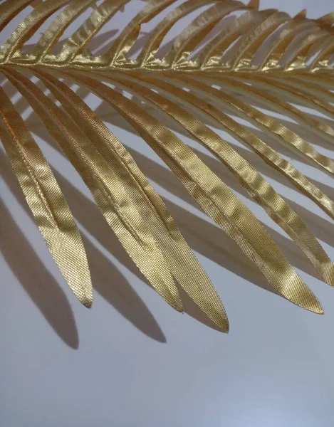 Golden Yellow Ornamental Object Shape Palm Leaf — Fotografia de Stock