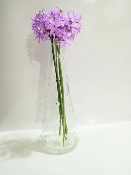 Purple Flowers Glass Vase Minimal White Background — Stockfoto