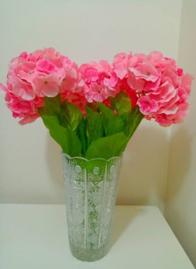 Hydrangea (Hydrangea macrophylla) native to Japan. Artificial pink flowers in a crystal glass vase.