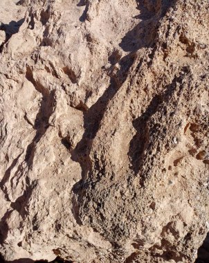 Deniz kıyısında büyük bir kaya. Didim-Türkiye