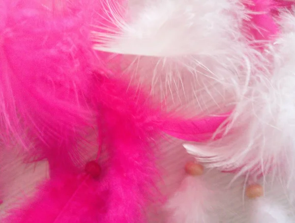 Beaded Feathers Pink White Feathers — Stock Photo, Image