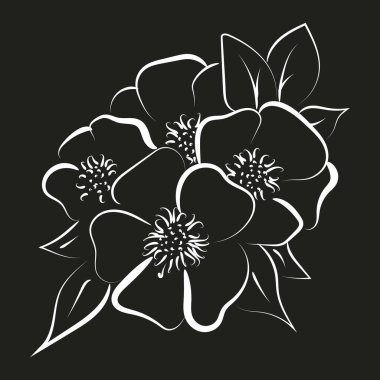 Bahar çiçeğinin zarif dış çizimi, vektör illüstrasyonu.