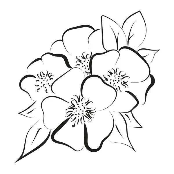 Elégant Dessin Contour Fleur Printemps Illustration Vectorielle — Image vectorielle