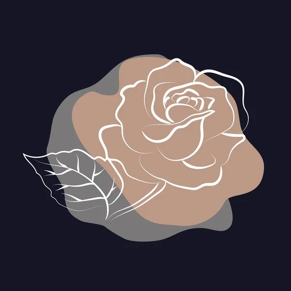Elegante Umrisszeichnung Der Rosenblüte Vektorillustration — Stockvektor