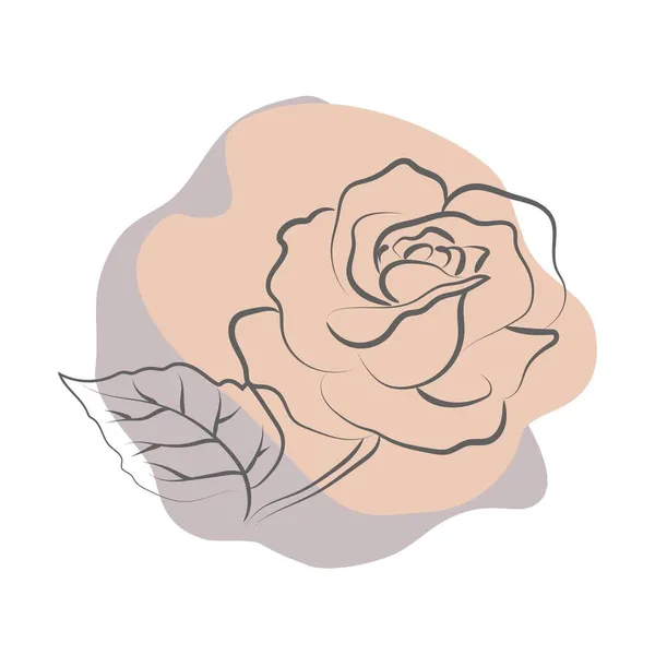 Elégant Dessin Contour Fleur Rose Illustration Vectorielle — Image vectorielle