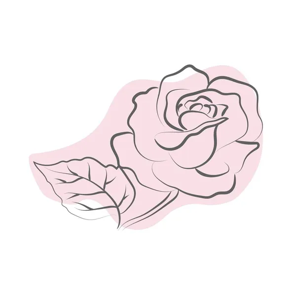 バラの花のエレガントなアウトラインの図面 ベクトルイラスト — ストックベクタ
