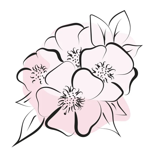 Elégant Dessin Contour Fleur Printemps Illustration Vectorielle — Image vectorielle