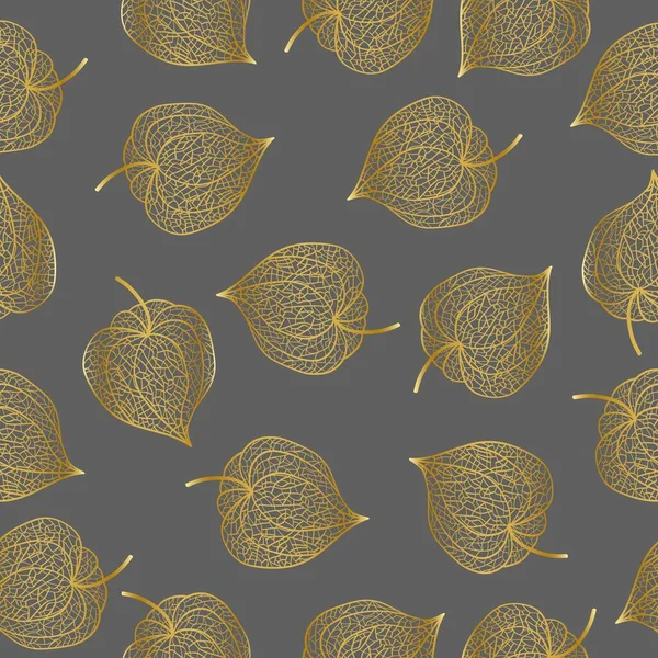 Dessiné Main Plante Physalis Contour Illustration Vectorielle — Image vectorielle