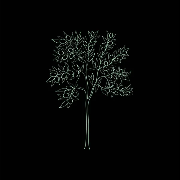 Начерки Мистецтва Оливкового Дерева Векторні Ілюстрації — стоковий вектор