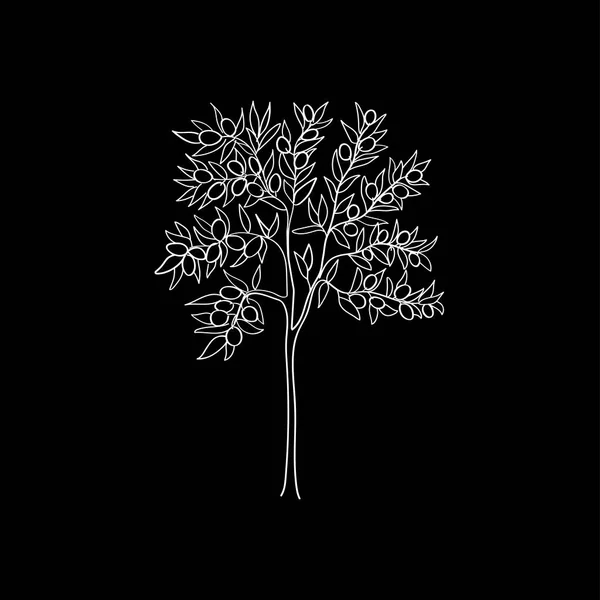 Outline Art Olive Tree Vector Illustration — Stock Vector