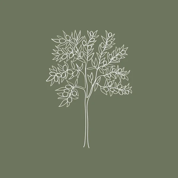 Zarys Sztuki Drzewa Oliwnego Zielonym Tle — Wektor stockowy