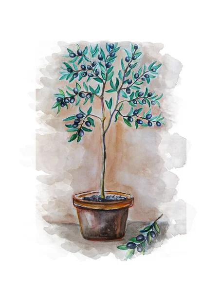Искусство Рисования Оливкового Дерева Вручную — стоковое фото