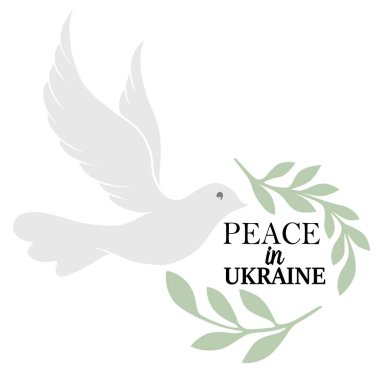  Barışın sembolü, güvercin kuşu