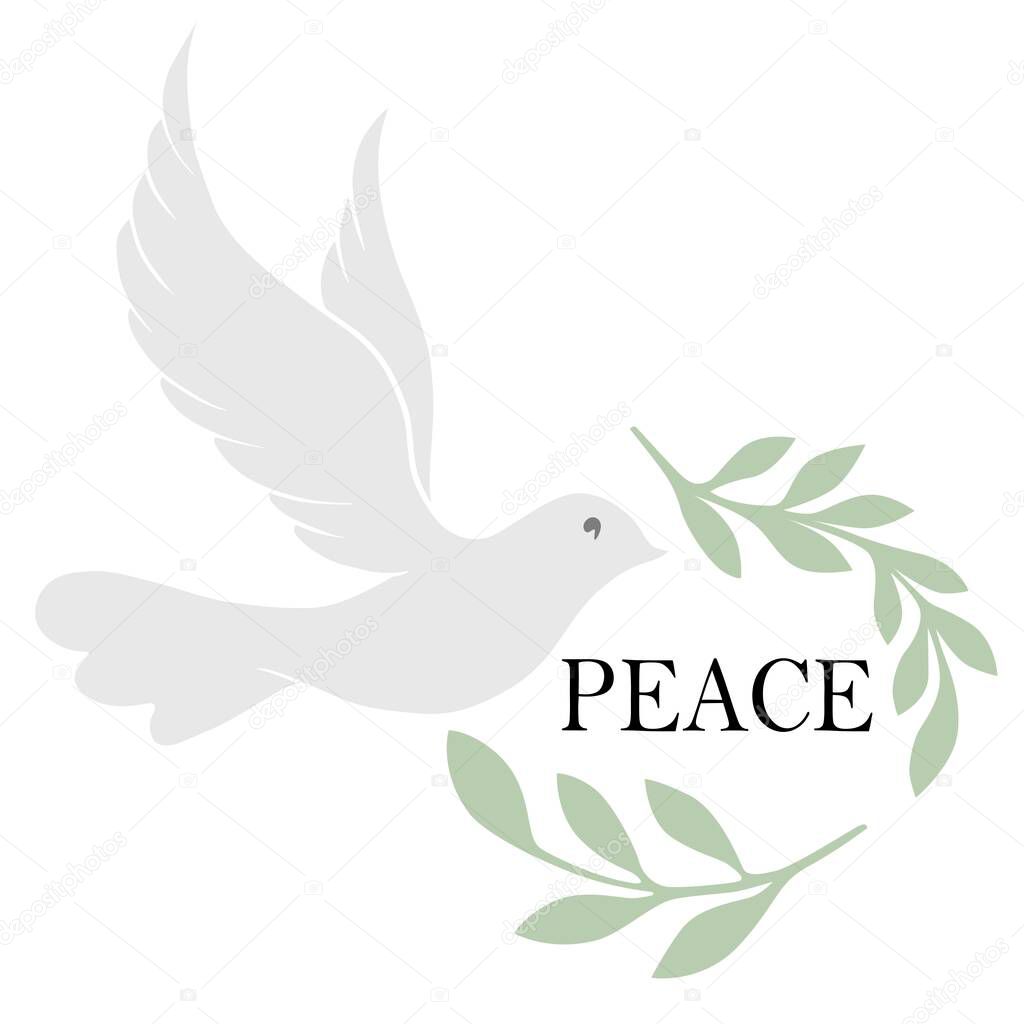  Symbol of peace, dove bird