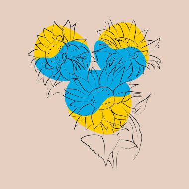 Ayçiçeğinin ana hatları, vektör illüstrasyonu
